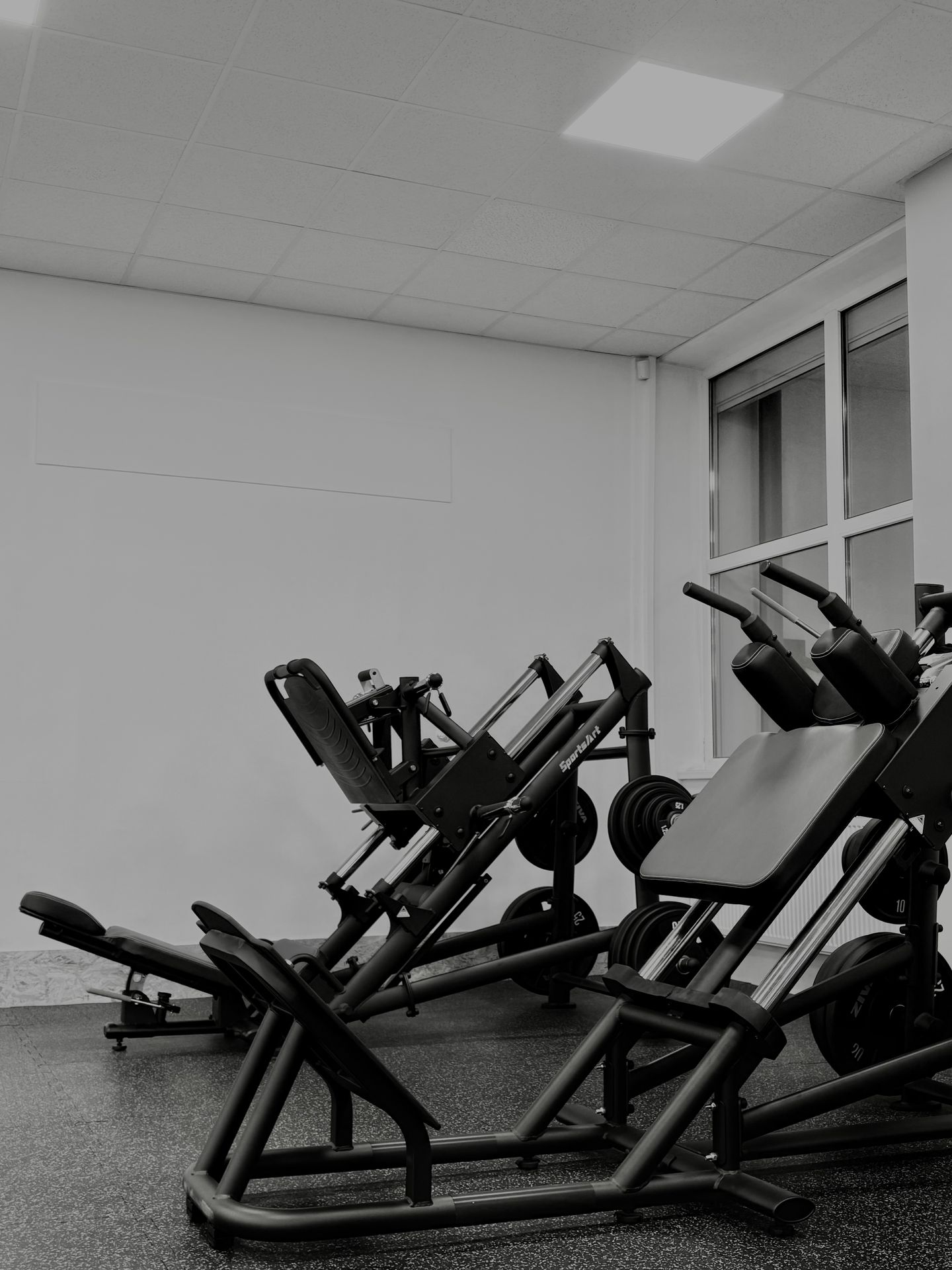 FIR Strength GYM - foto 6